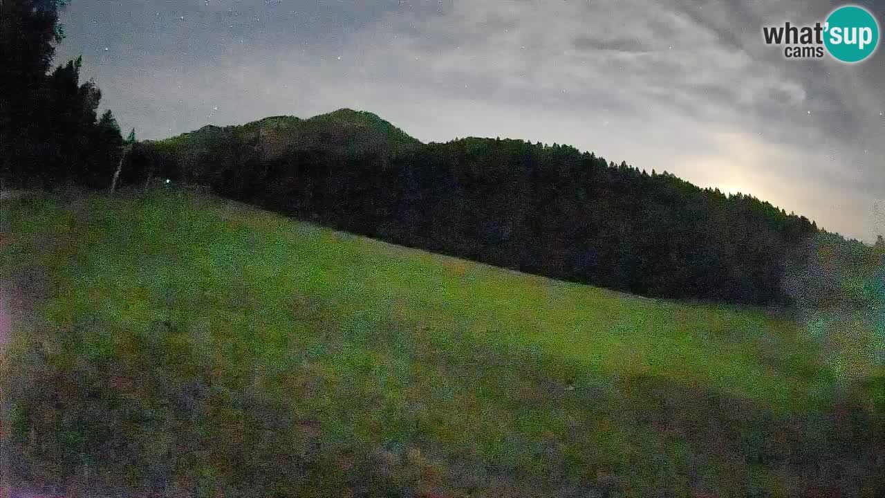 RTC Kranjska Gora | Brsnina