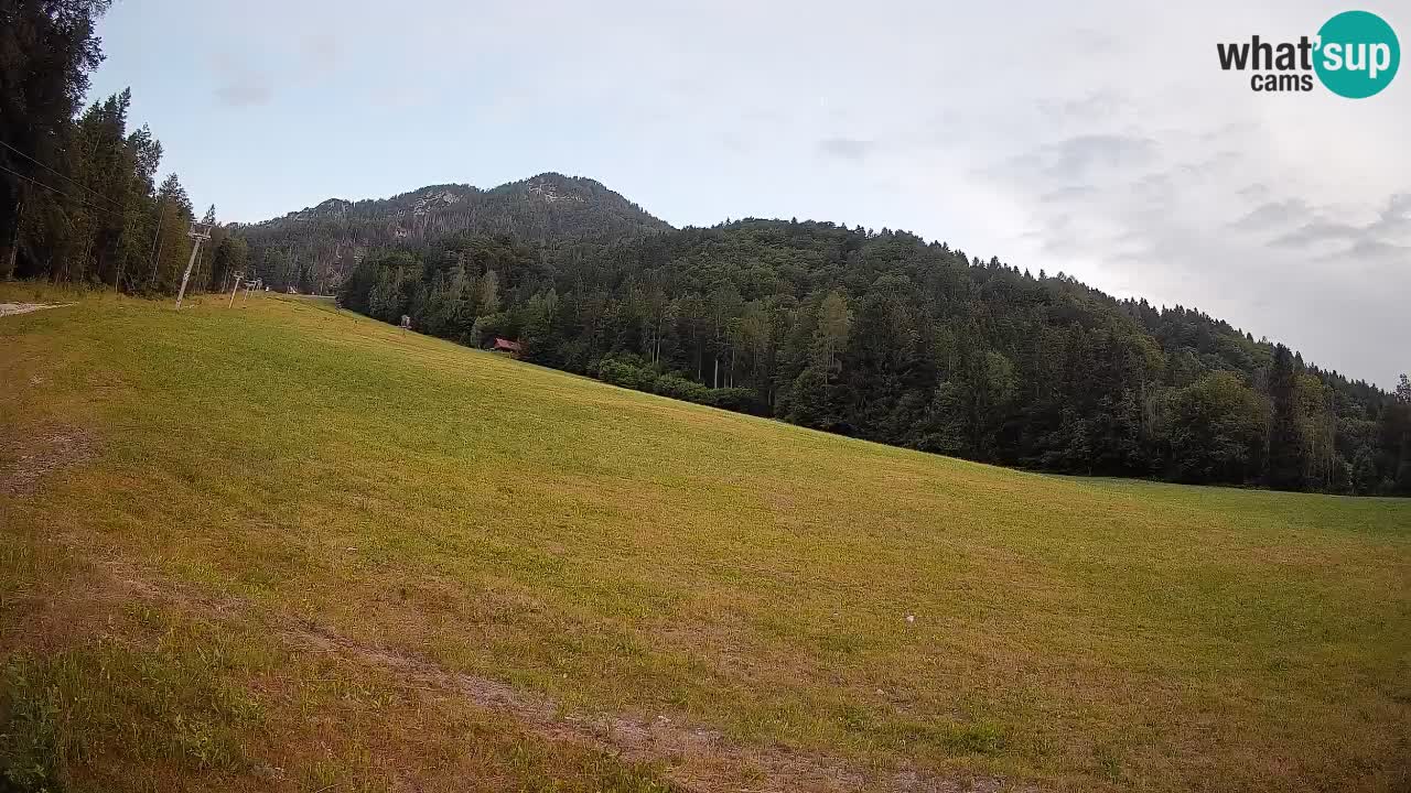 Comprensorio sciistico Kranjska Gora | Brsnina