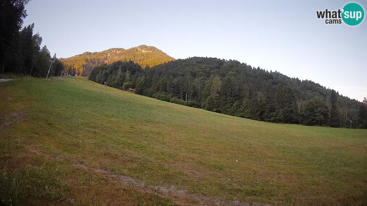 RTC Kranjska Gora | Brsnina