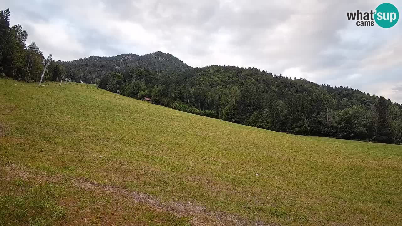 RTC Skigebiet Kranjska Gora | Brsnina