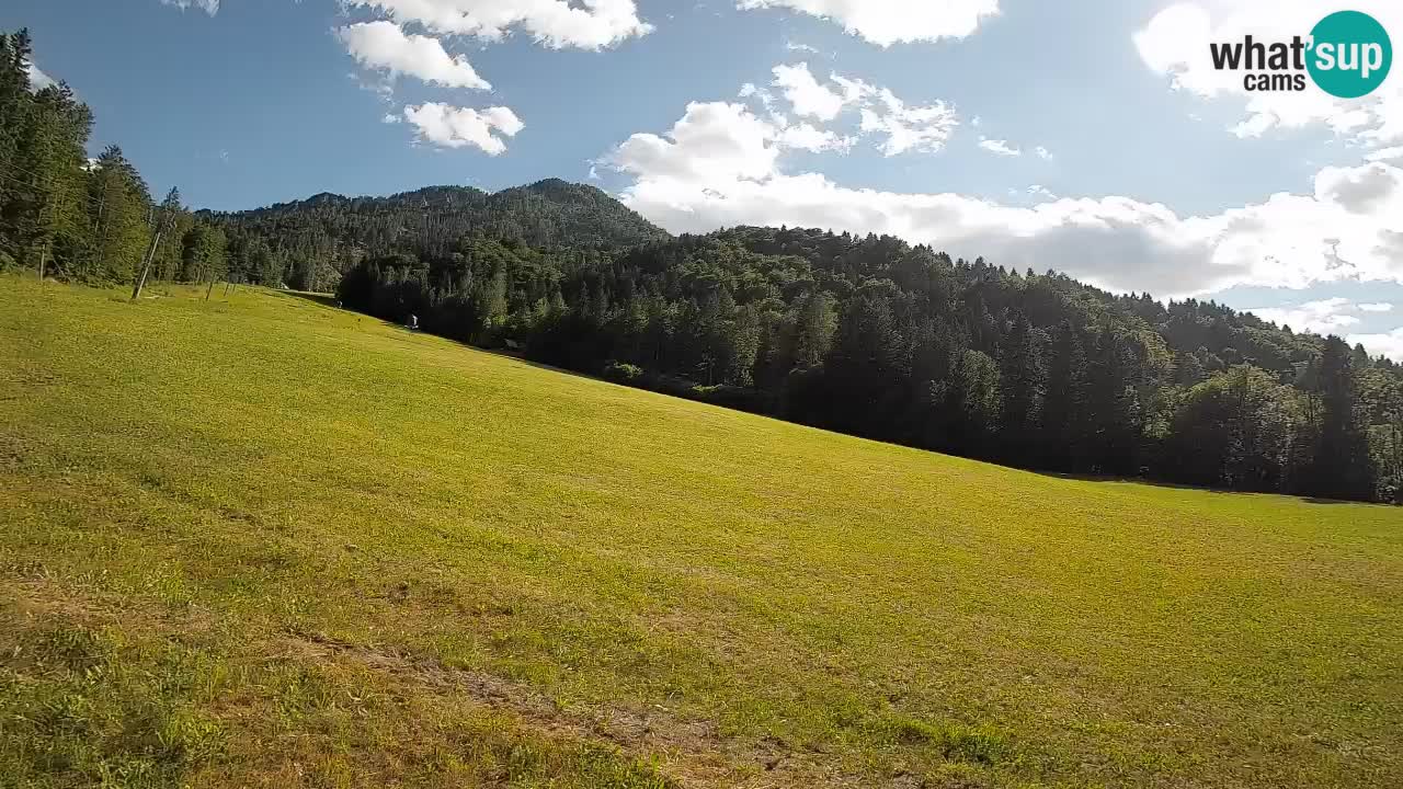 Ski Kranjska Gora | Brsnina