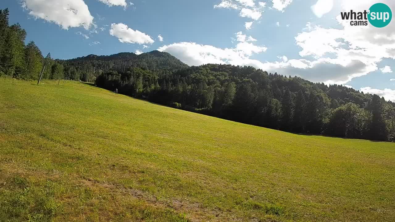 RTC Skigebiet Kranjska Gora | Brsnina
