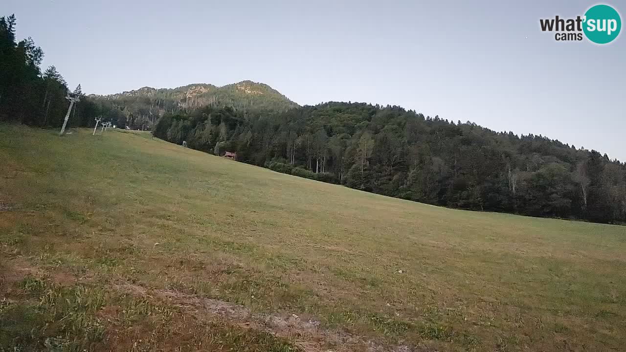 Ski Kranjska Gora | Brsnina