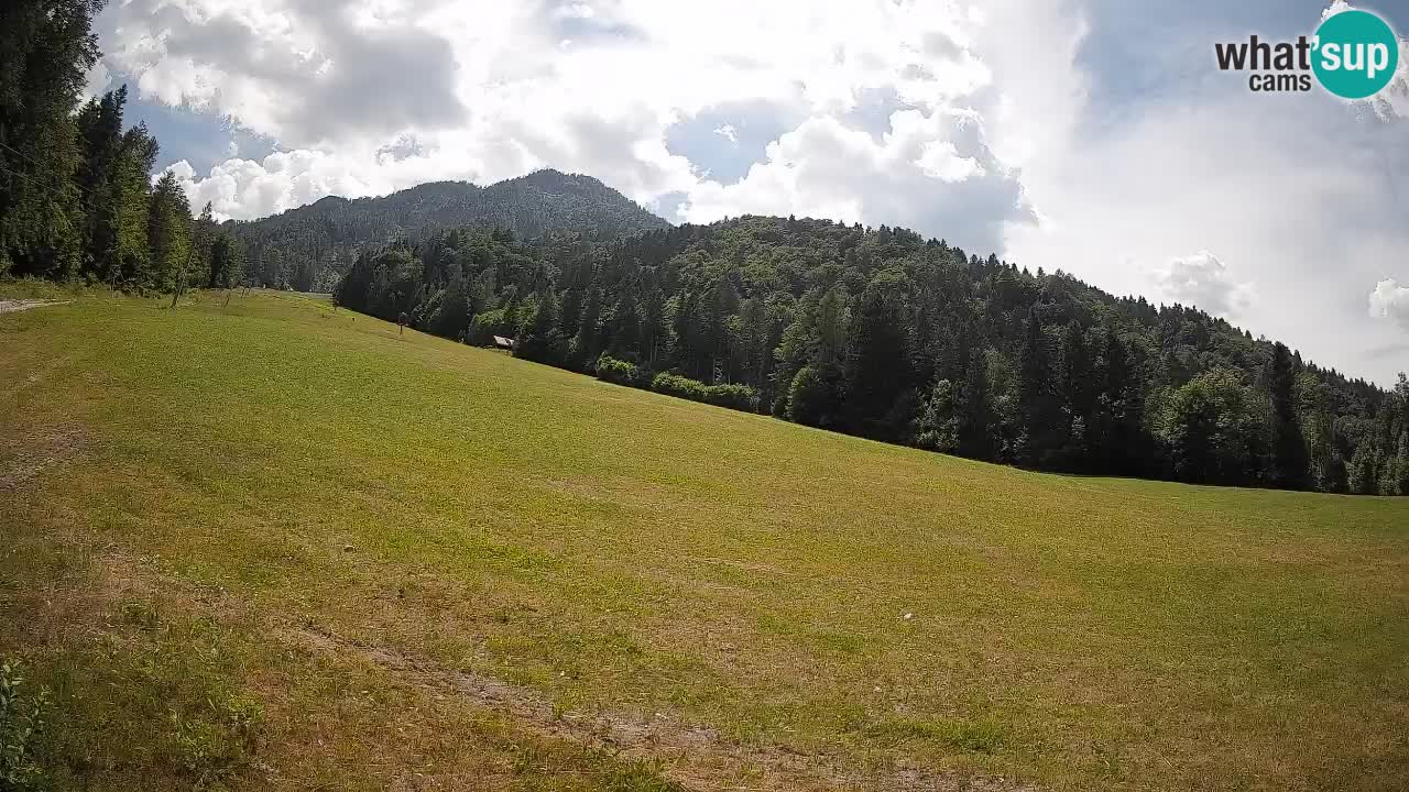 Ski Kranjska Gora | Brsnina