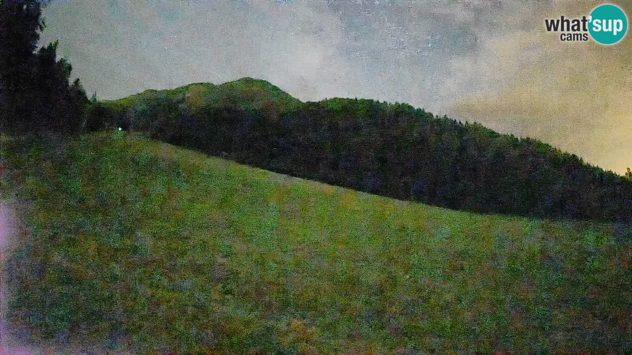 RTC Kranjska Gora | Brsnina