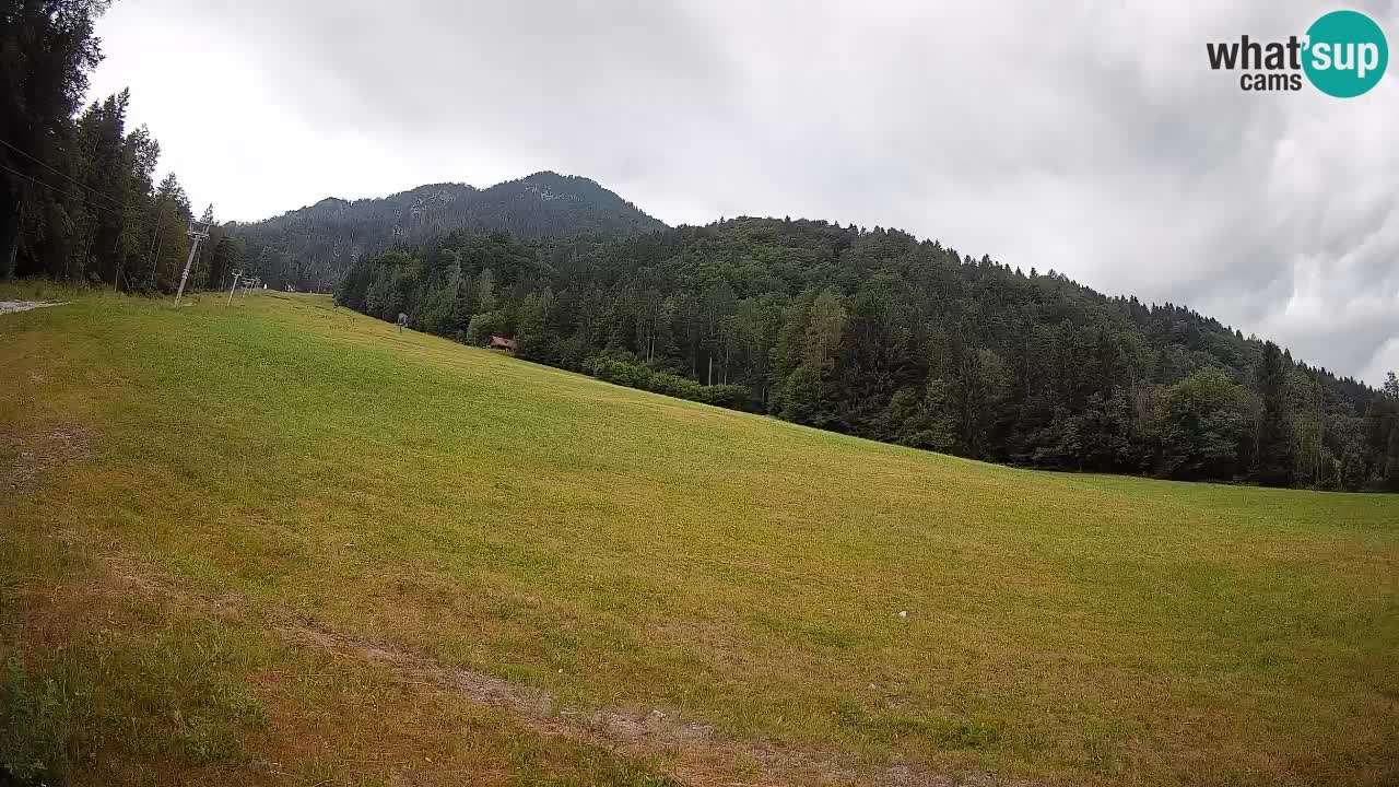 Ski Kranjska Gora | Brsnina