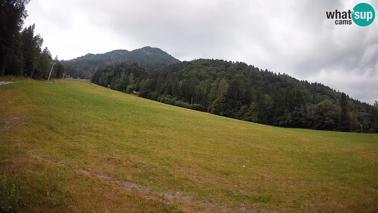 Kranjska Gora Station de ski | Brsnina