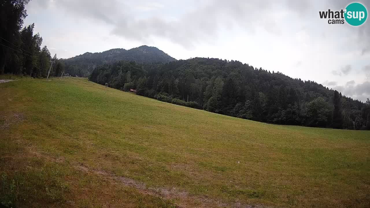 Kranjska Gora Station de ski | Brsnina