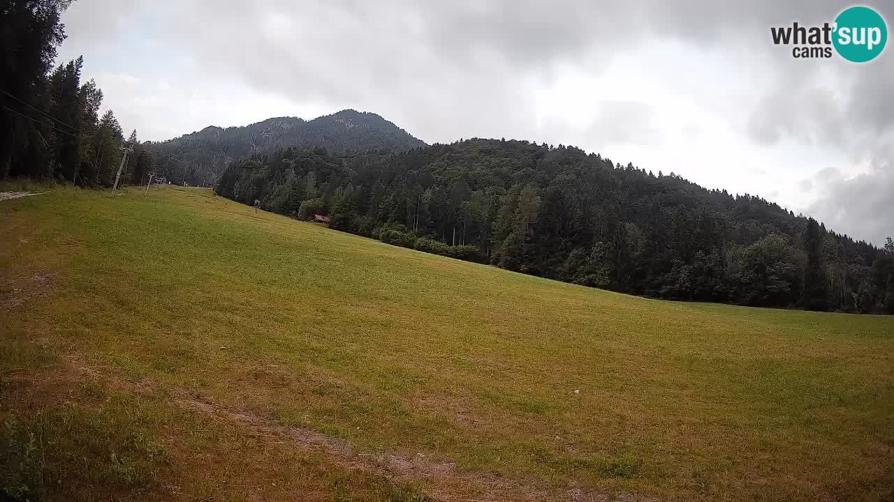 Kranjska Gora SKIJANJE | Brsnina