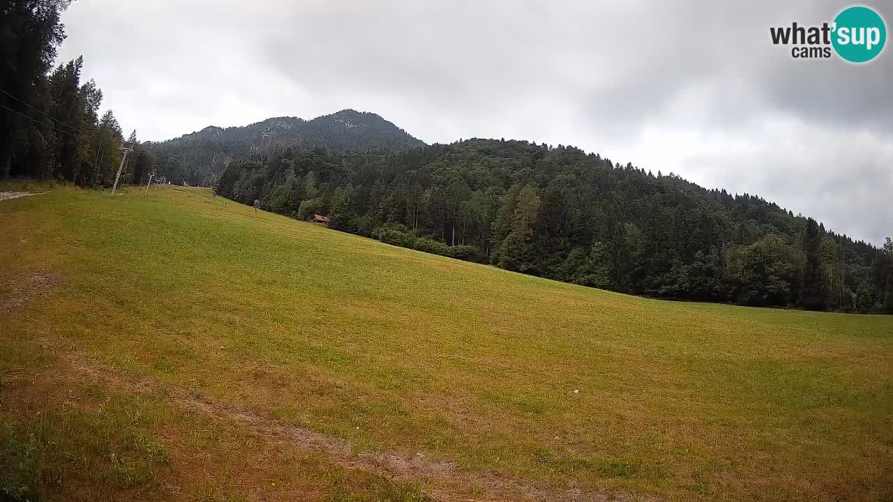 Esquí Kranjska Gora | Brsnina