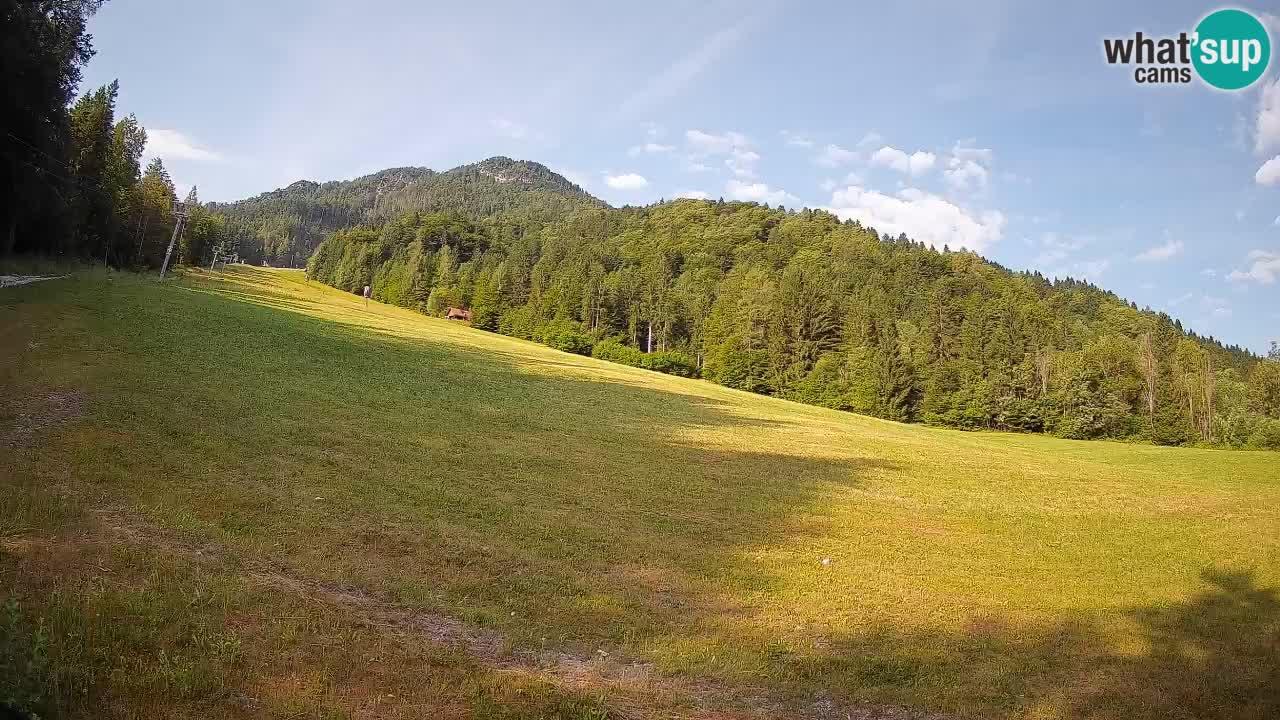 Ski Kranjska Gora | Brsnina