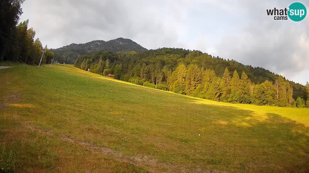 Ski Kranjska Gora | Brsnina