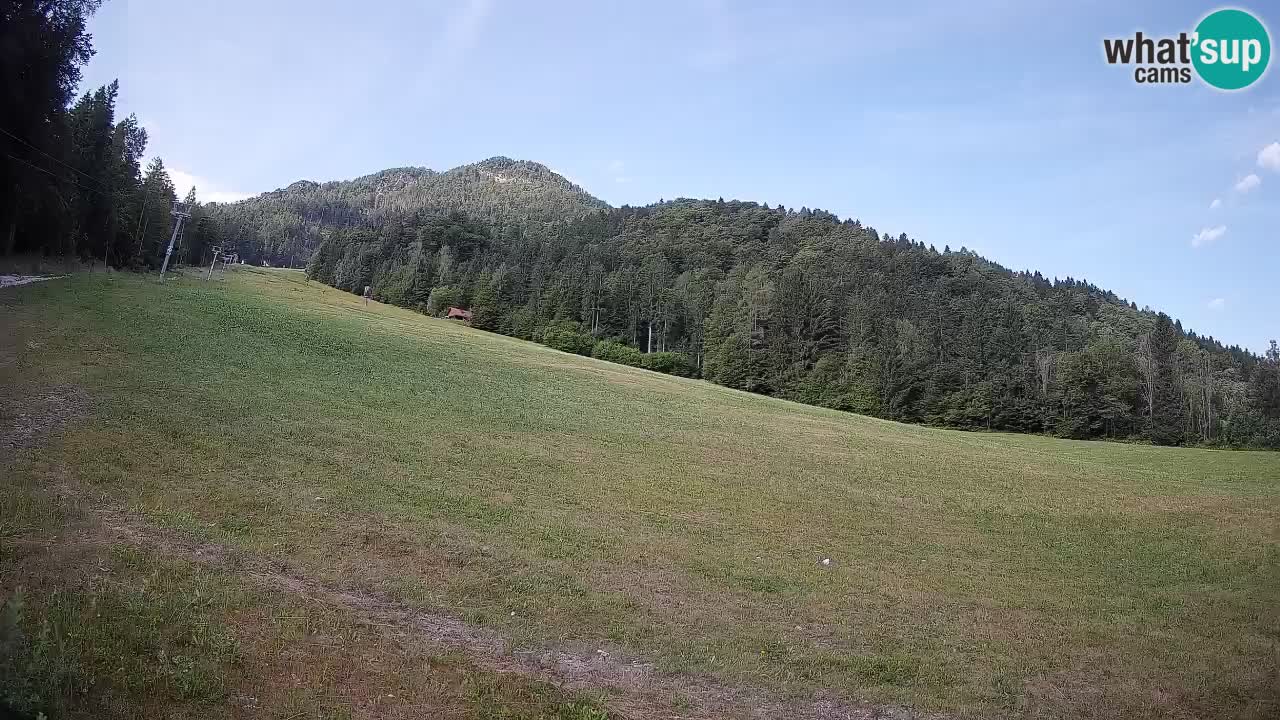 Ski Kranjska Gora | Brsnina