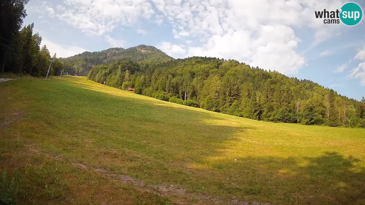 Ski Kranjska Gora | Brsnina