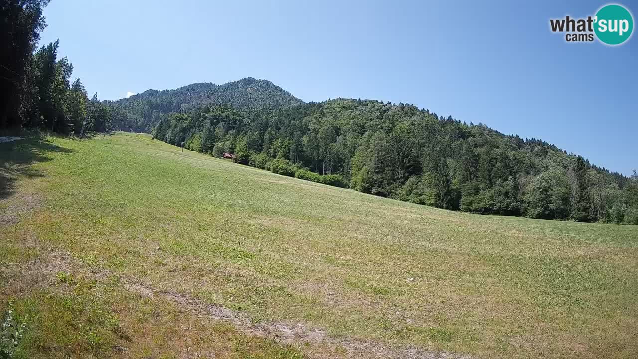 Comprensorio sciistico Kranjska Gora | Brsnina