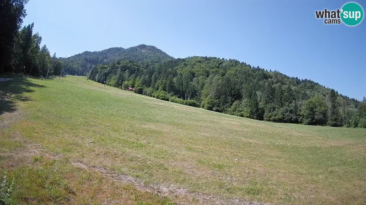 Comprensorio sciistico Kranjska Gora | Brsnina