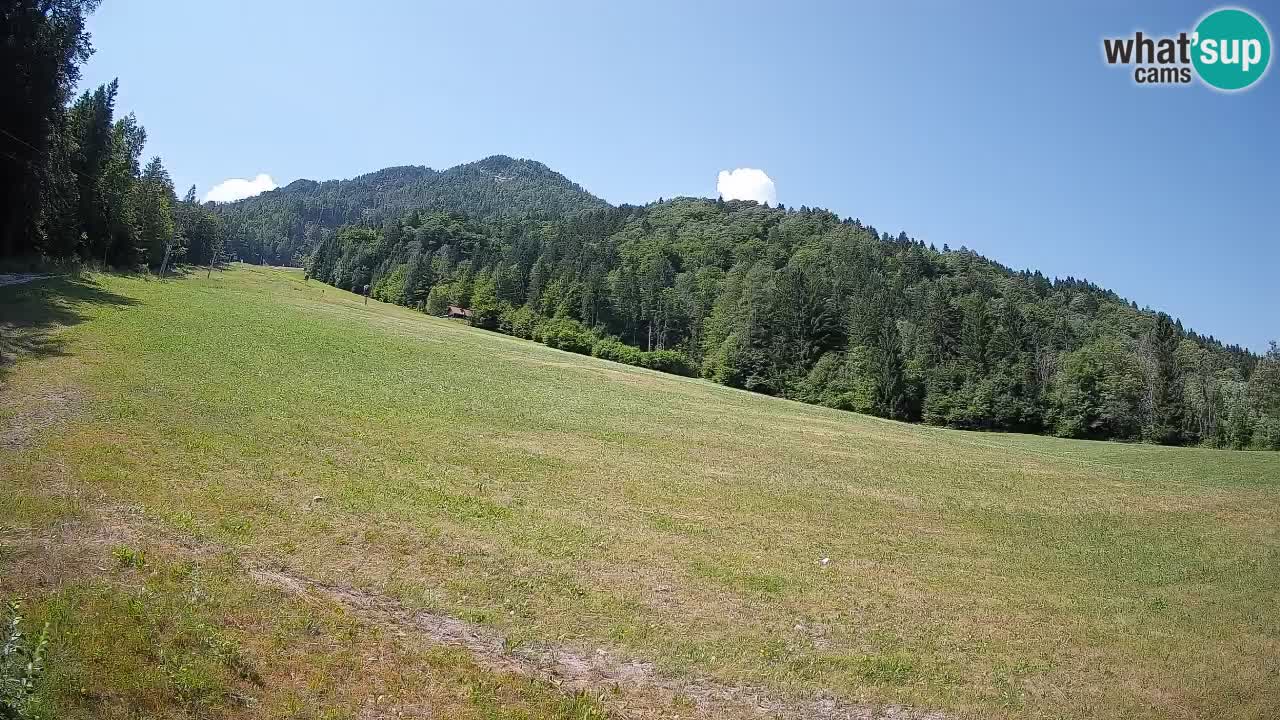 RTC Skigebiet Kranjska Gora | Brsnina