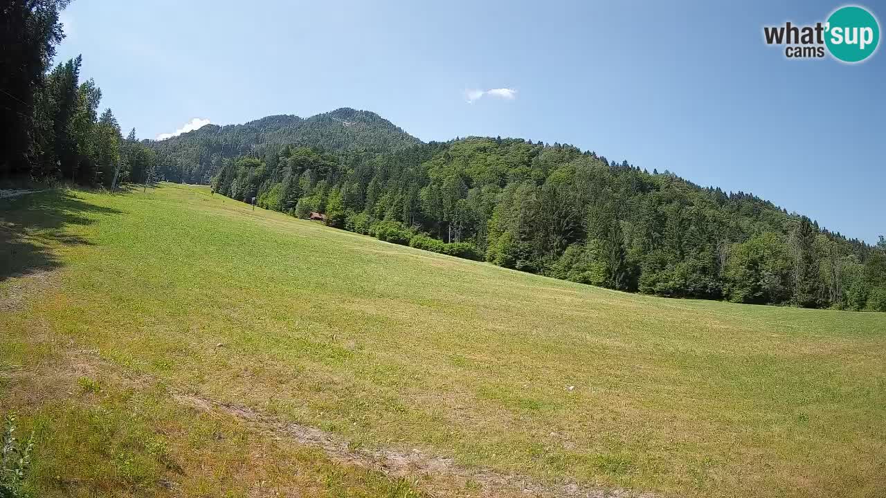 Kranjska Gora Station de ski | Brsnina