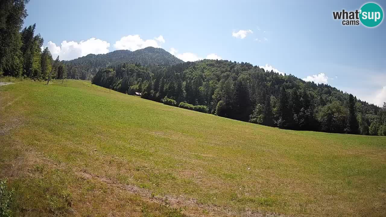 Ski Kranjska Gora | Brsnina