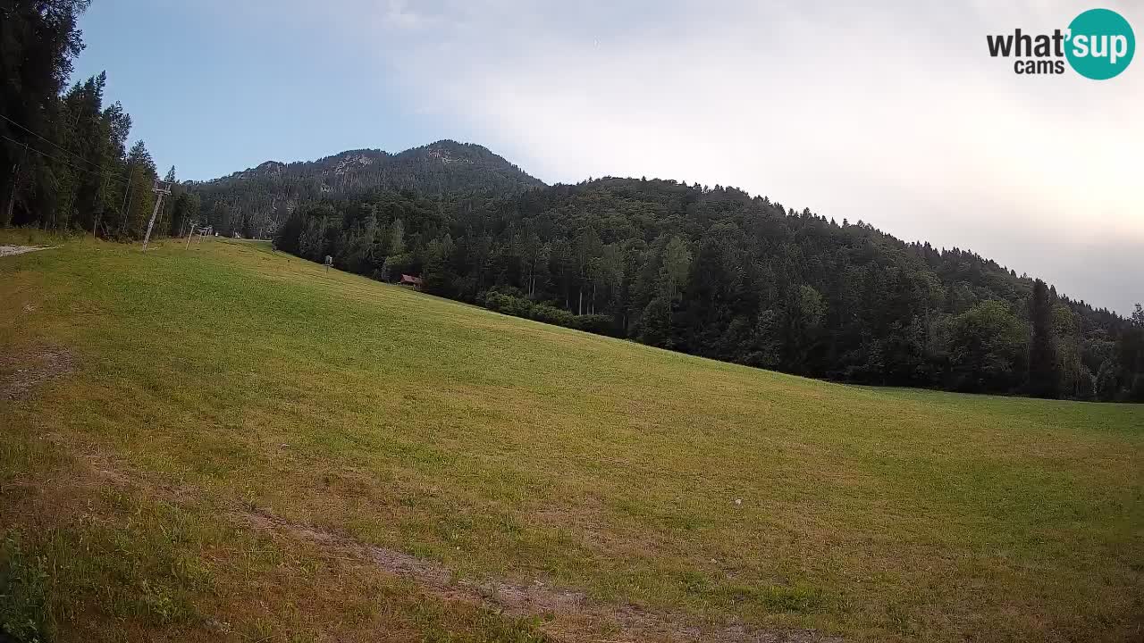 Comprensorio sciistico Kranjska Gora | Brsnina