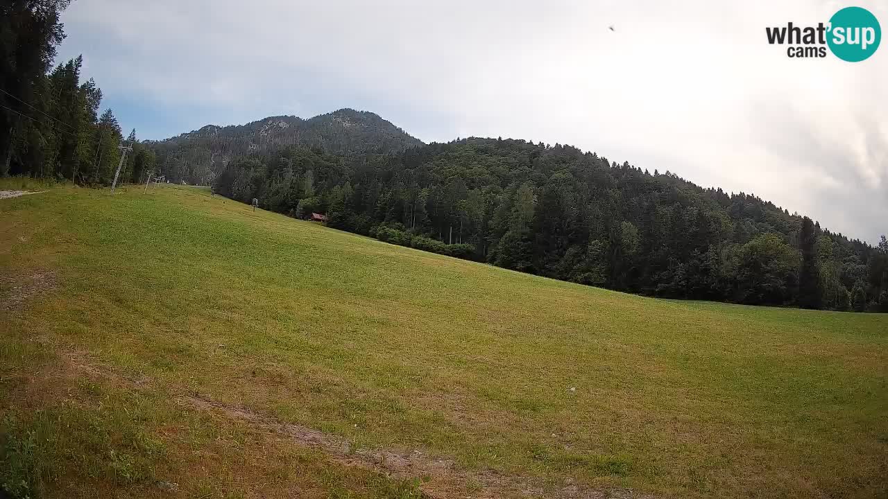 RTC Skigebiet Kranjska Gora | Brsnina