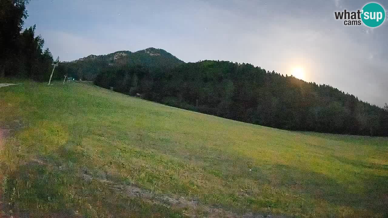RTC Kranjska Gora | Brsnina