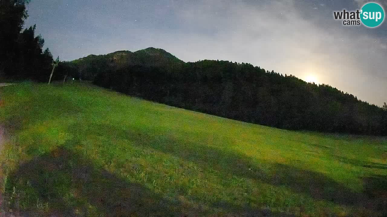 Ski Kranjska Gora | Brsnina