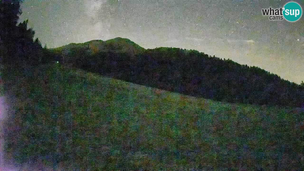RTC Kranjska Gora | Brsnina