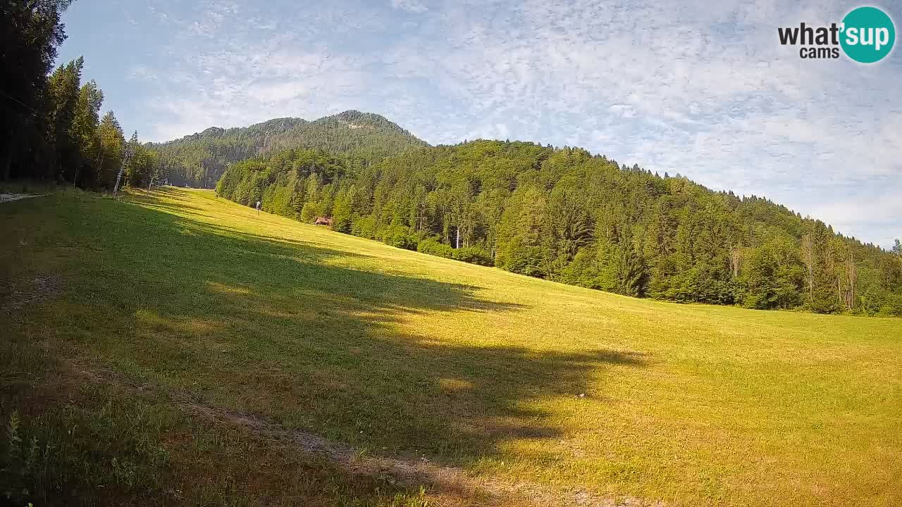 RTC Skigebiet Kranjska Gora | Brsnina
