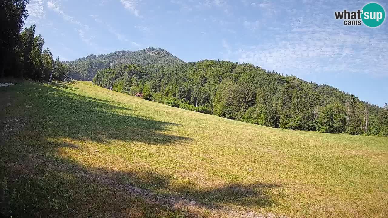 RTC Skigebiet Kranjska Gora | Brsnina
