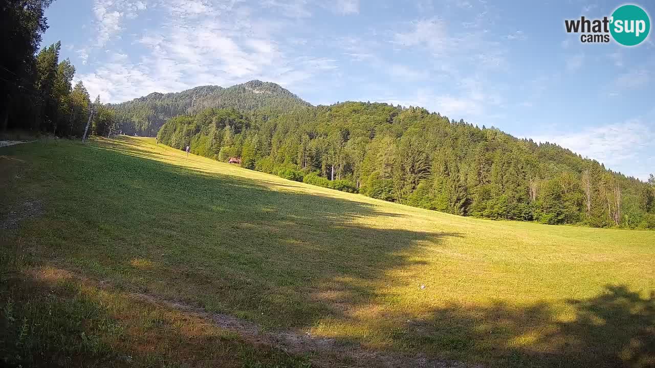 Ski Kranjska Gora | Brsnina