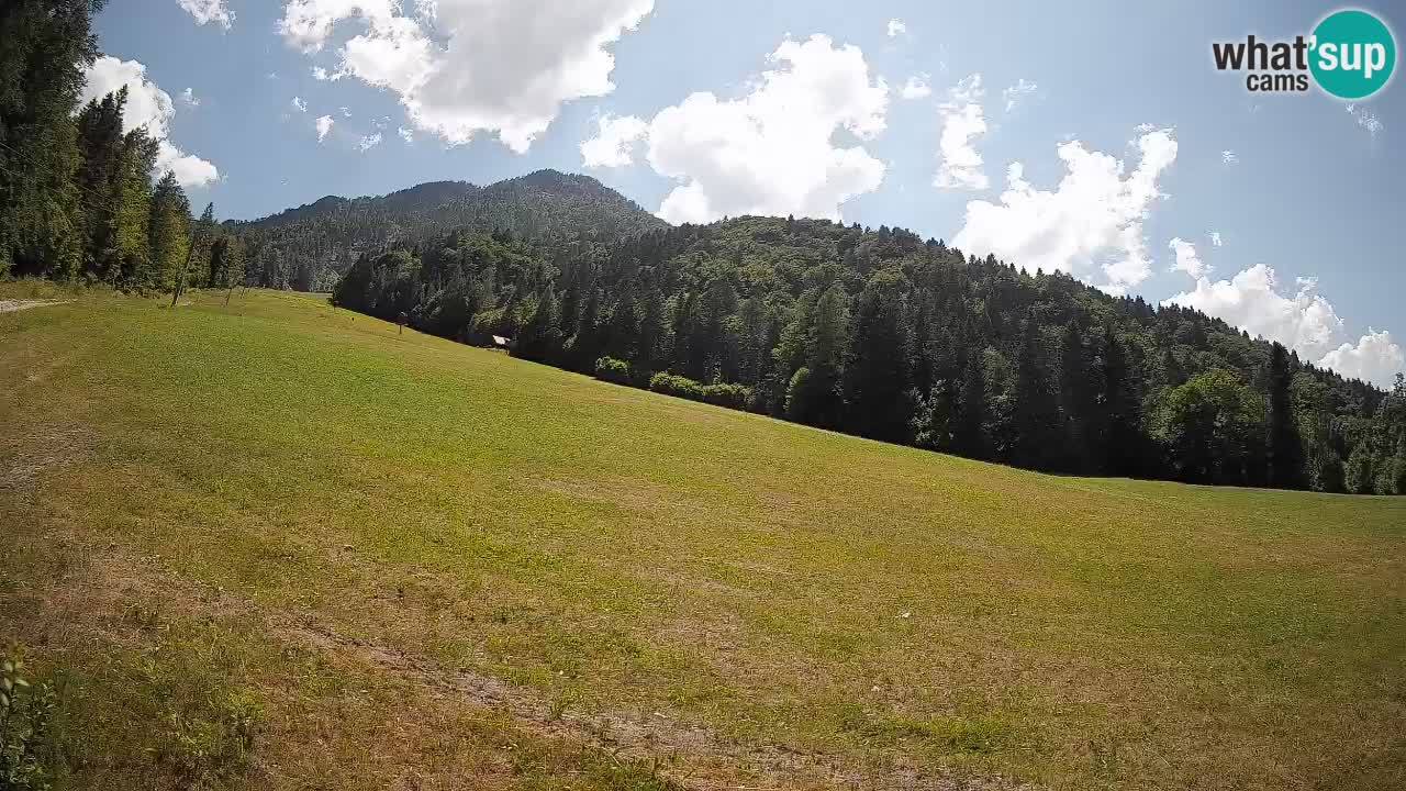 Kranjska Gora SKIJANJE | Brsnina