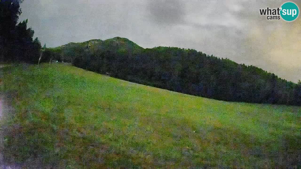 Kranjska Gora SKIJANJE | Brsnina