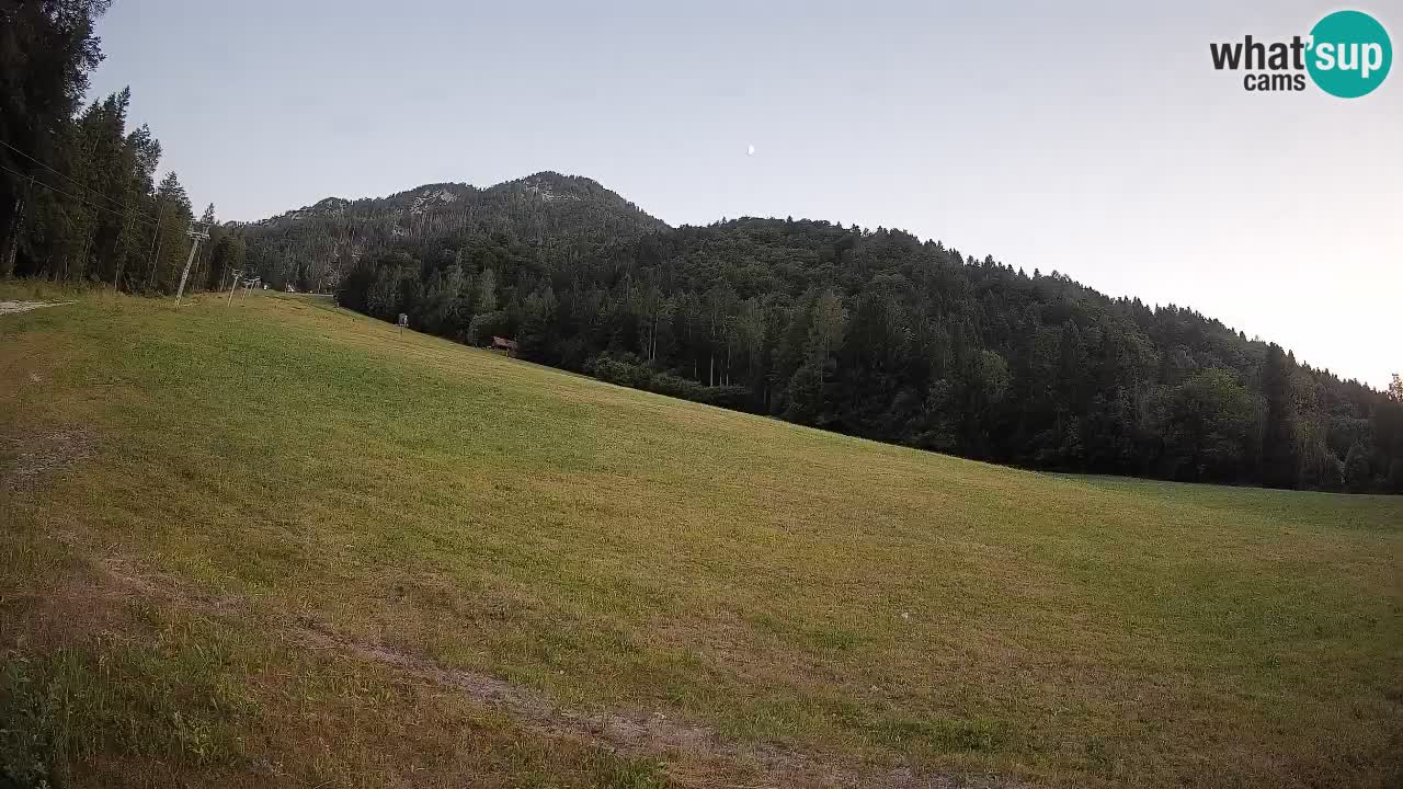 Ski Kranjska Gora | Brsnina
