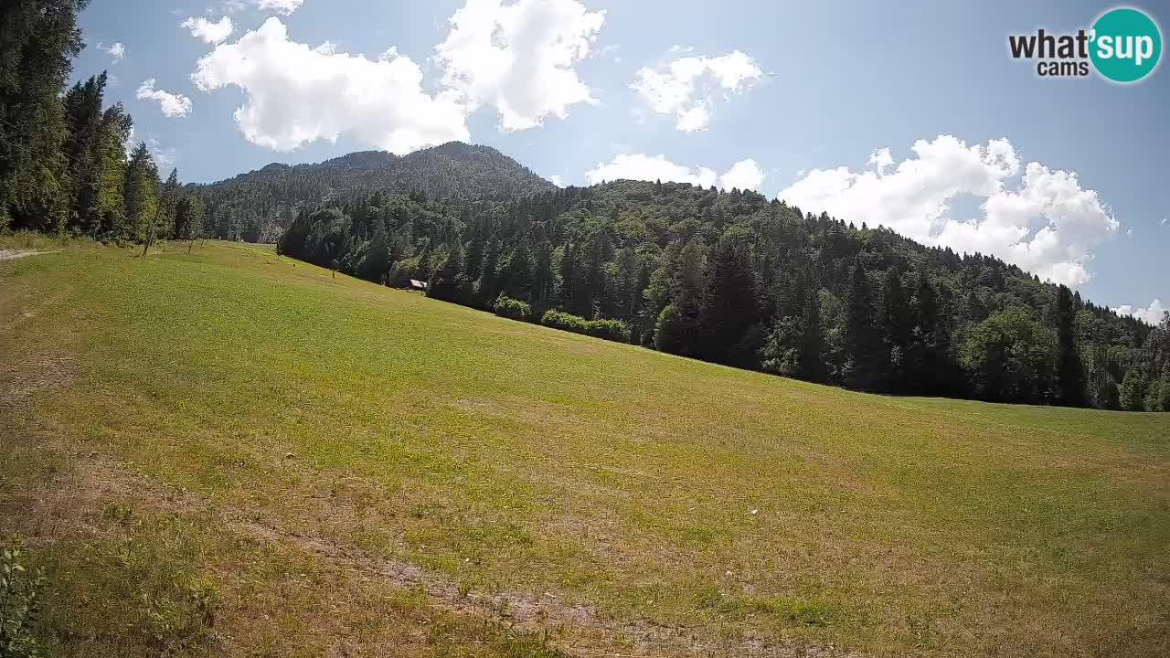 Kranjska Gora SKIJANJE | Brsnina