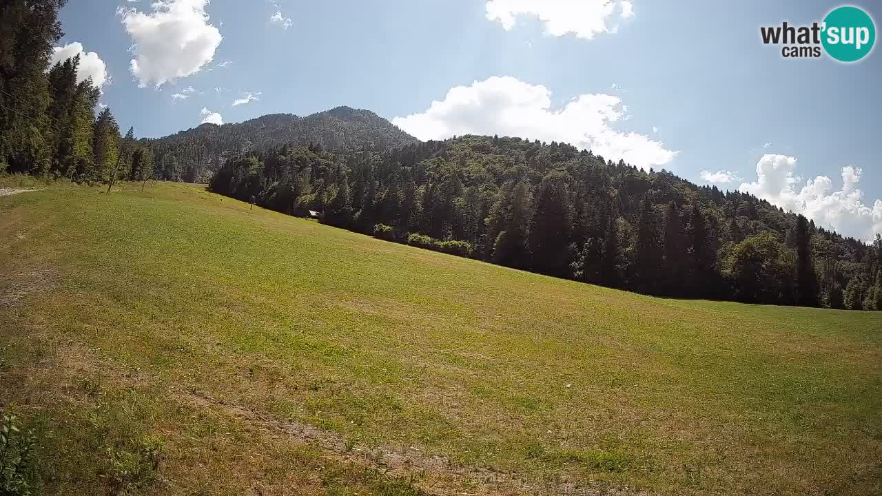 Esquí Kranjska Gora | Brsnina