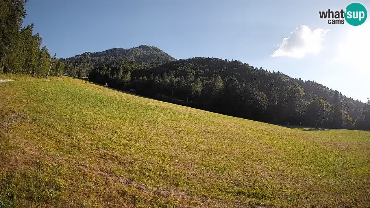 Esquí Kranjska Gora | Brsnina