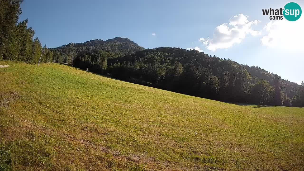 RTC Skigebiet Kranjska Gora | Brsnina