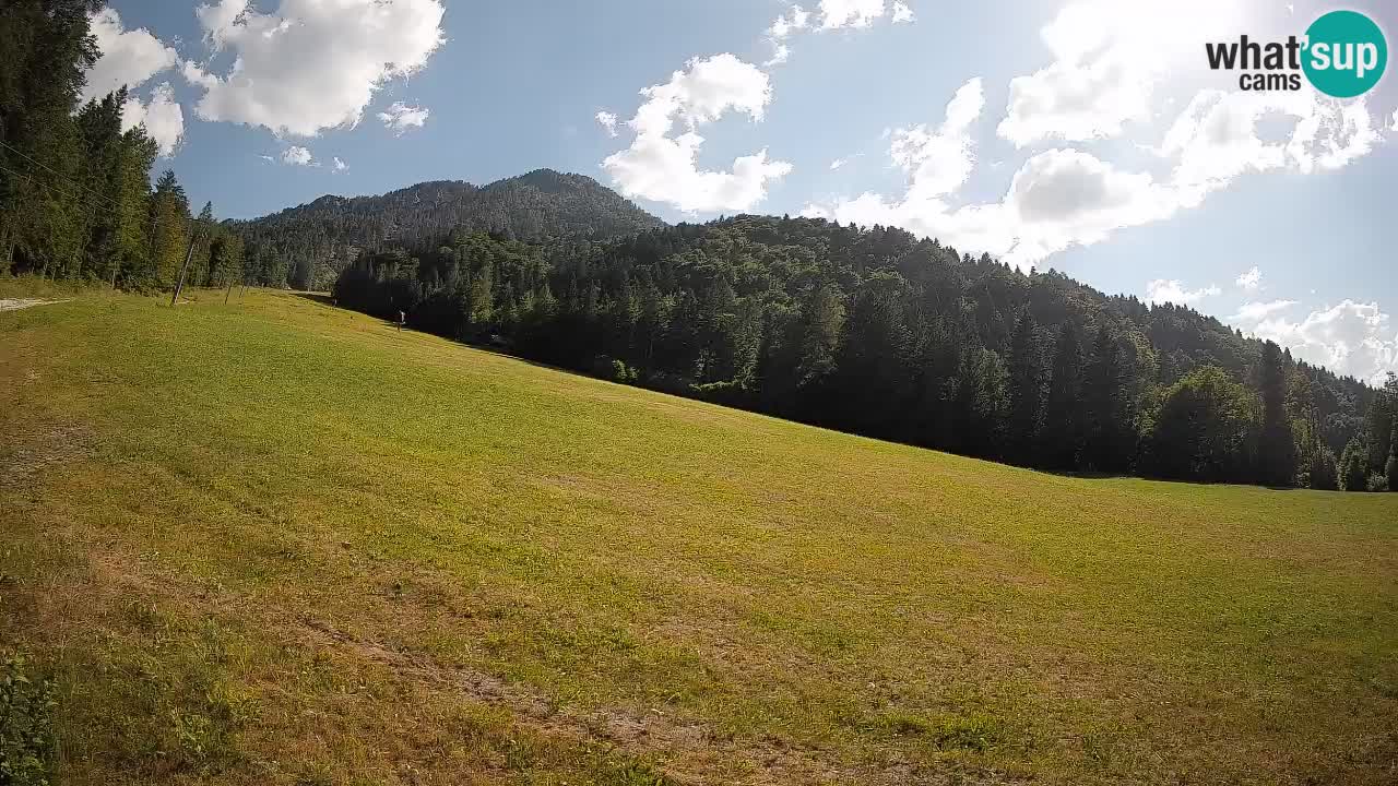 RTC Skigebiet Kranjska Gora | Brsnina
