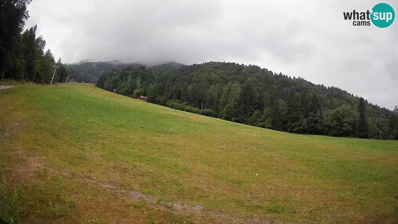 Kranjska Gora Station de ski | Brsnina