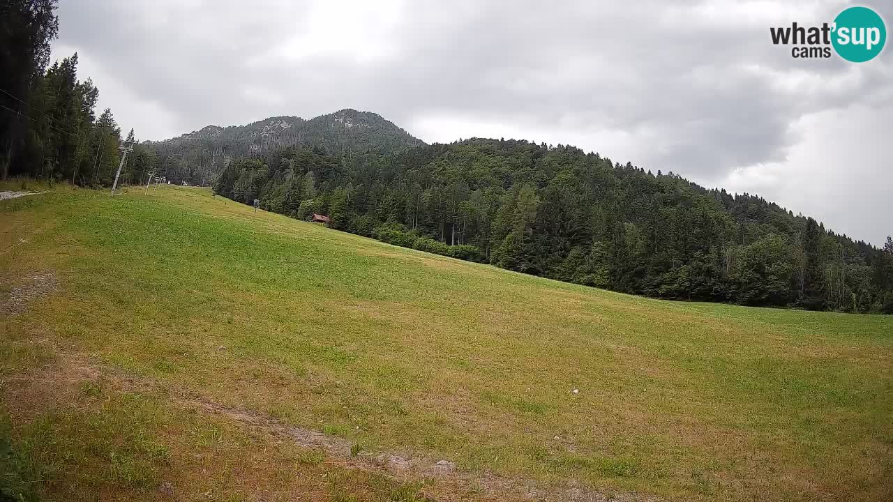 Ski Kranjska Gora | Brsnina