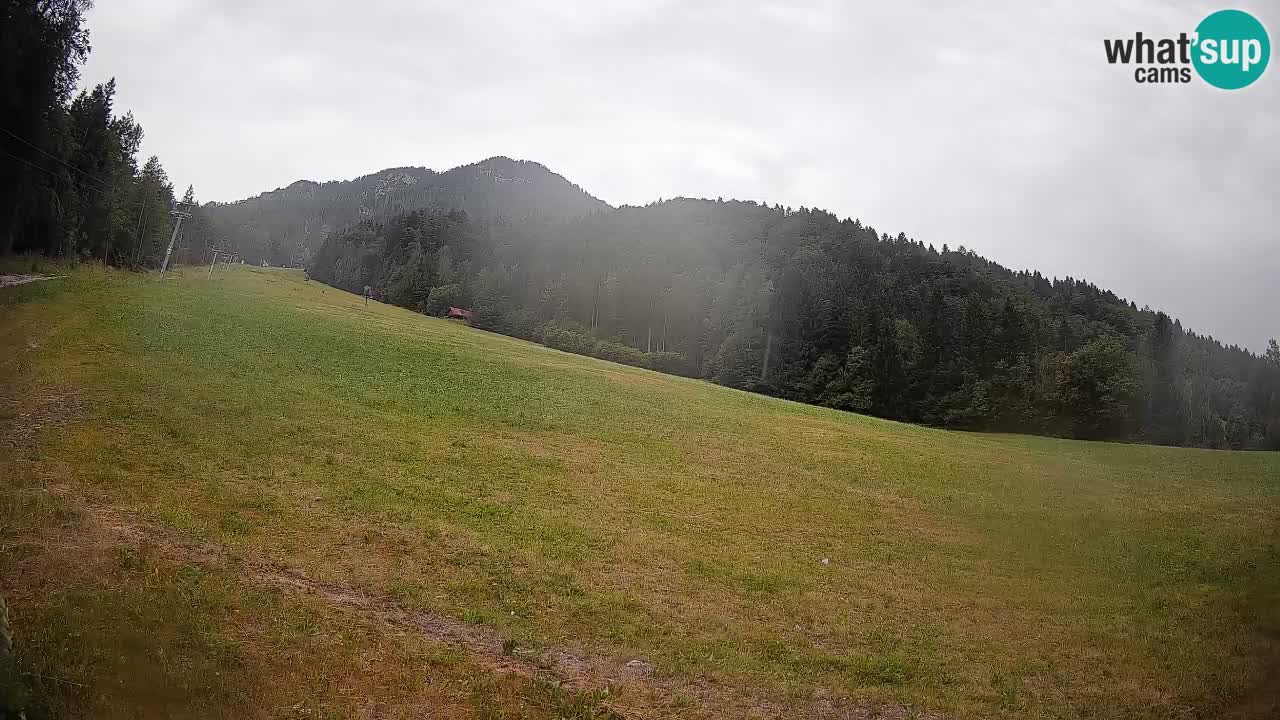 Ski Kranjska Gora | Brsnina