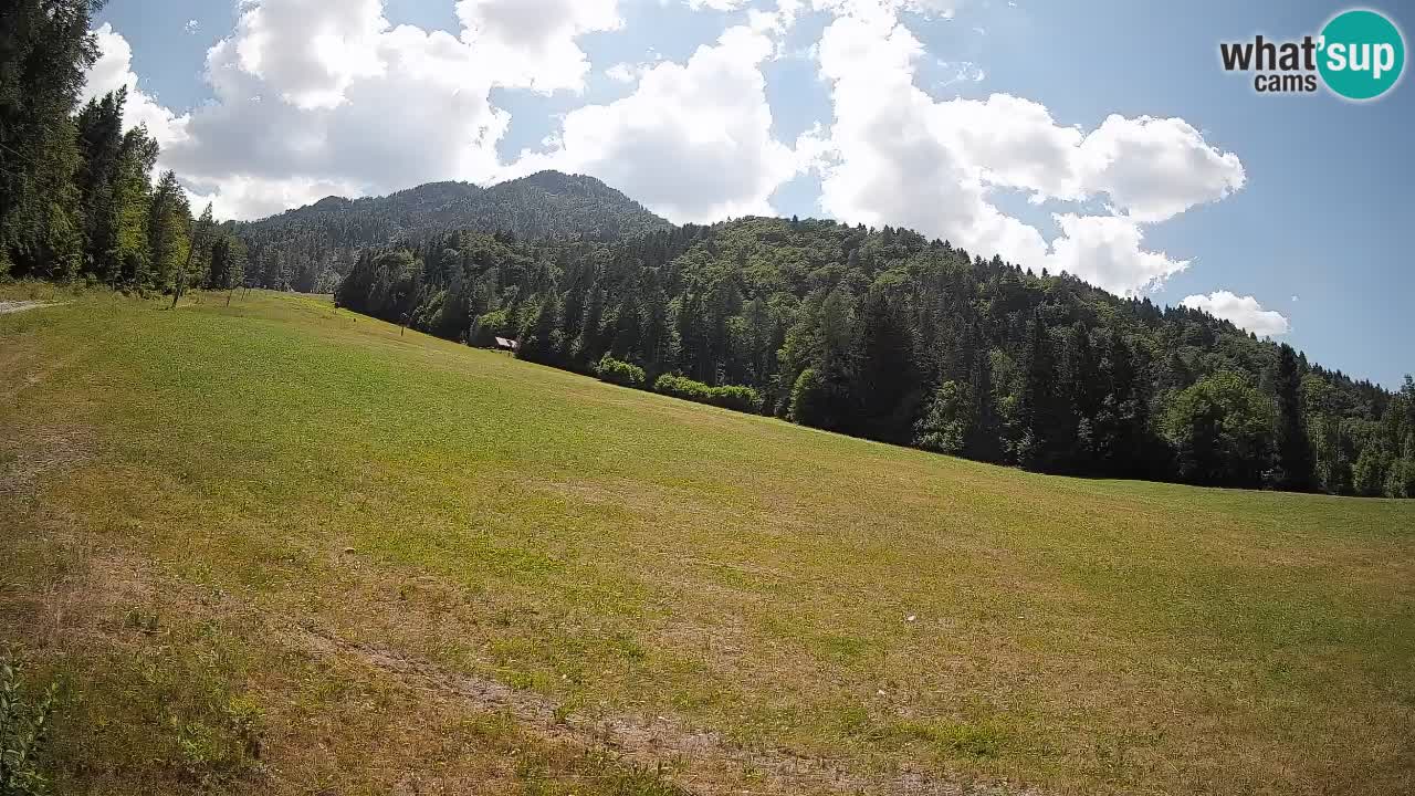 RTC Skigebiet Kranjska Gora | Brsnina