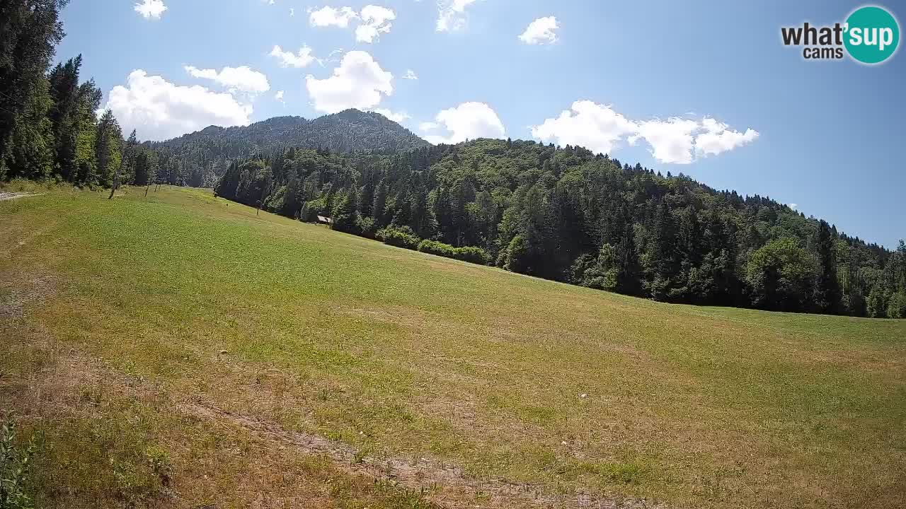 Kranjska Gora Station de ski | Brsnina
