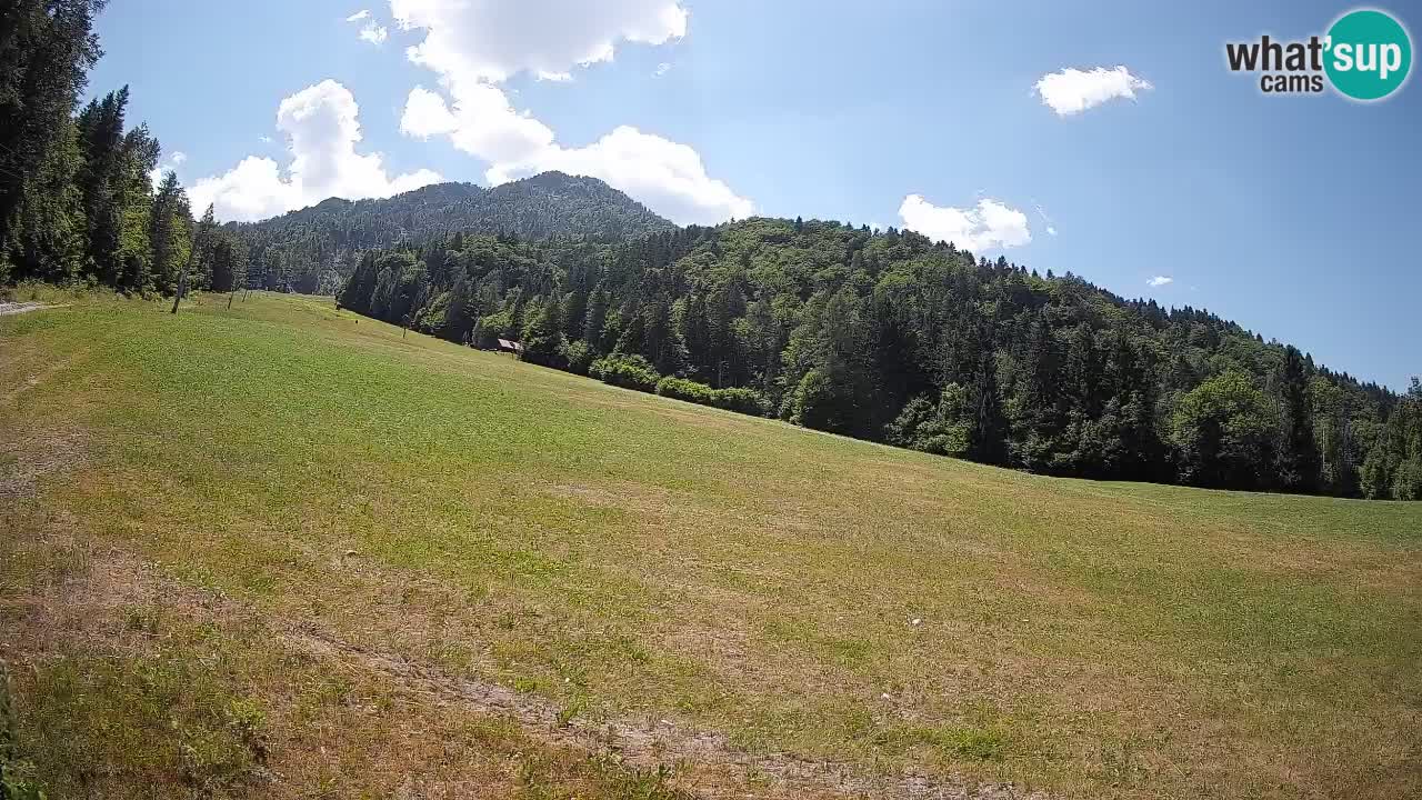 Comprensorio sciistico Kranjska Gora | Brsnina