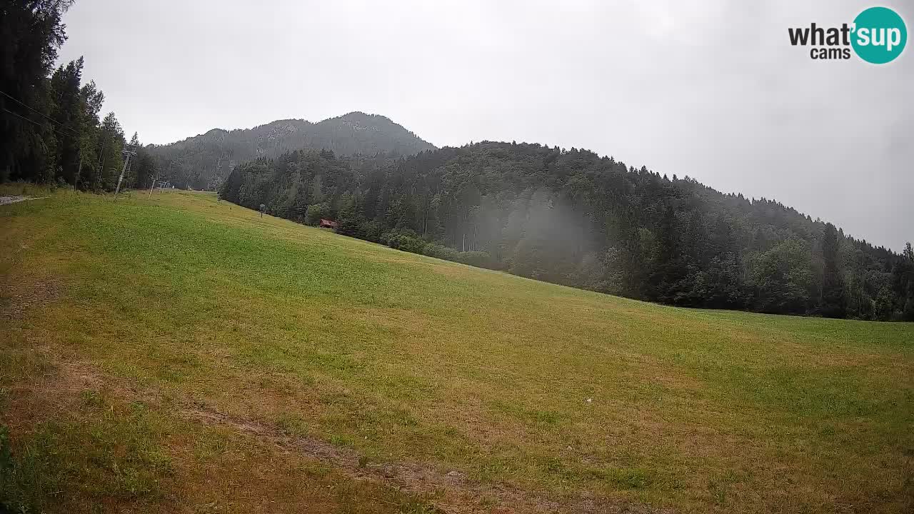 Esquí Kranjska Gora | Brsnina