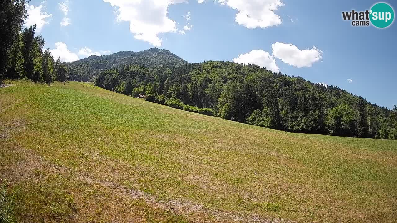 Comprensorio sciistico Kranjska Gora | Brsnina