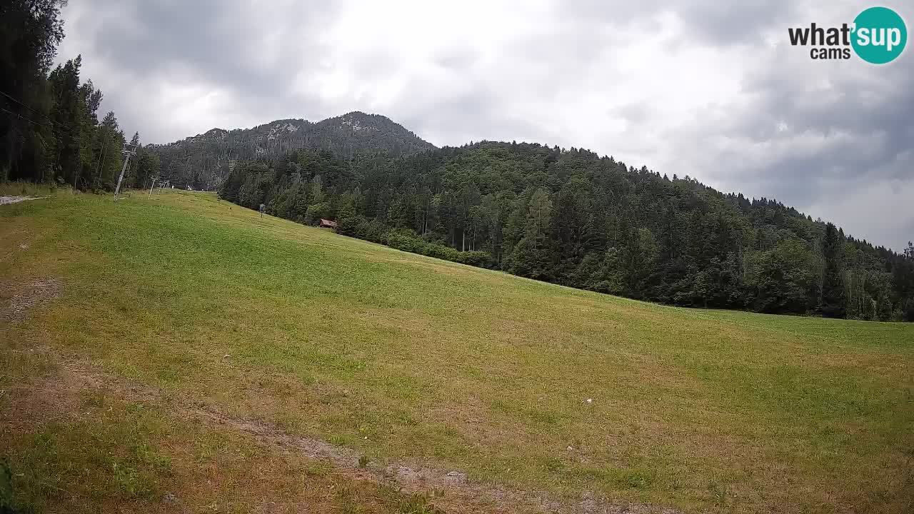 Comprensorio sciistico Kranjska Gora | Brsnina
