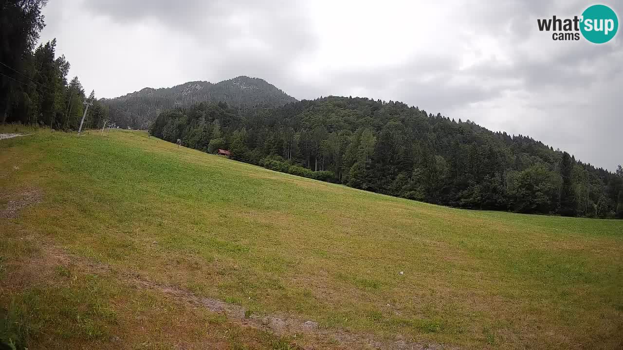 Comprensorio sciistico Kranjska Gora | Brsnina
