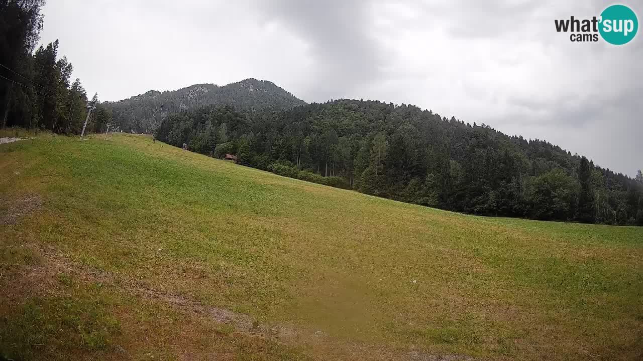 RTC Skigebiet Kranjska Gora | Brsnina